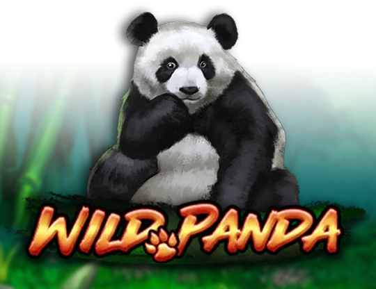 Wild Panda