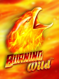 Burning Wild