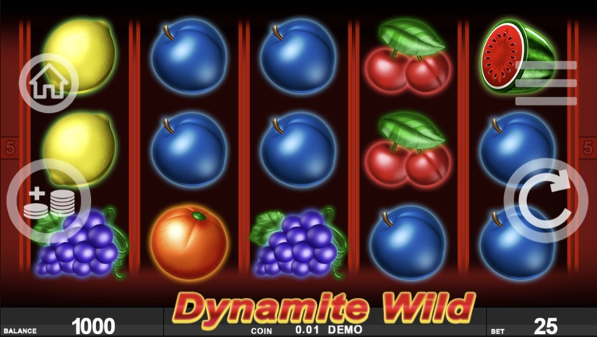 Dynamite Wild.jpg