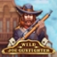 Wild Joe Gunfighter