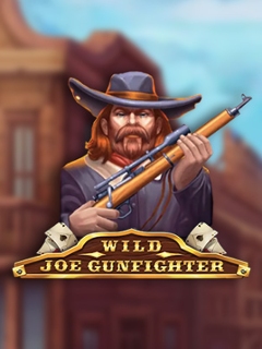 Wild Joe Gunfighter