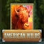 American Wilds