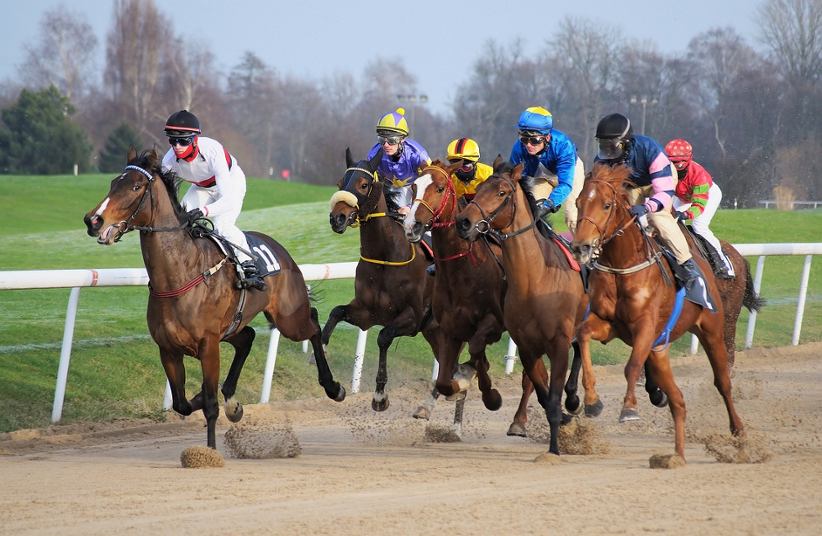 horses-racing-on-a-racetrack