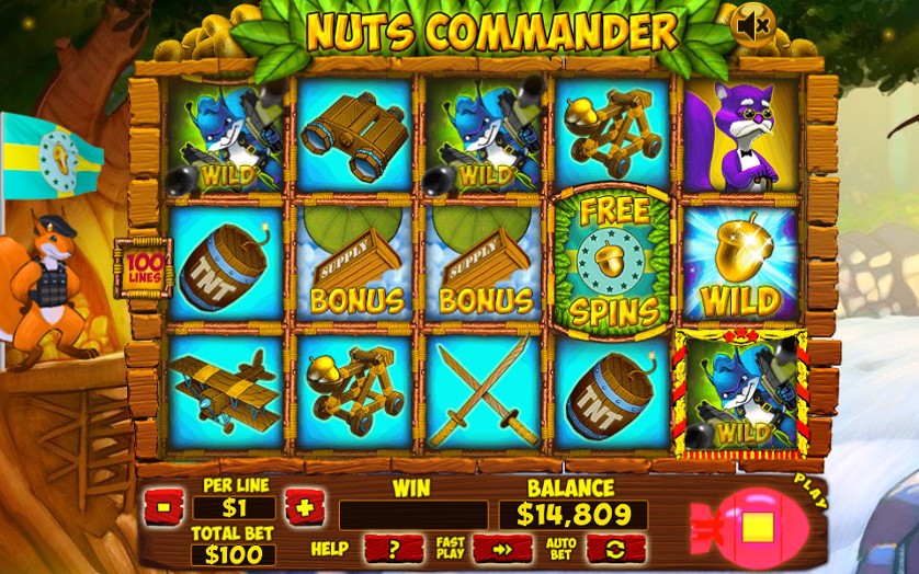Nuts Commander.jpg