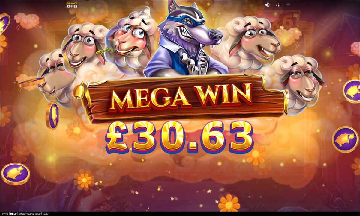 Sheep Gone Wild big win