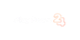 Playboom24 Casino
