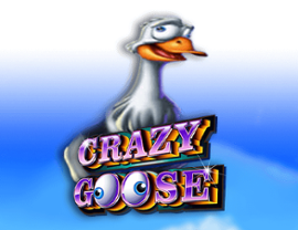 Crazy Goose