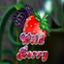 Wild Berry