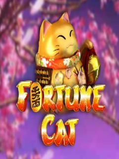 Fortune Cat