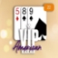 VIP American Blackjack