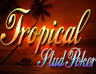 Tropical Stud Poker (Espresso)