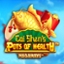 Cai Shen's Pots of Wealth Megaways