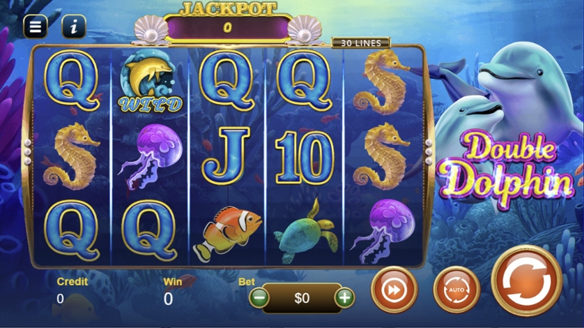 dolphin bingo jackpots