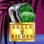 Reels 2 Riches
