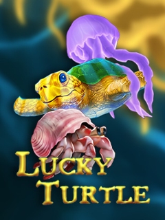 Lucky Turtle