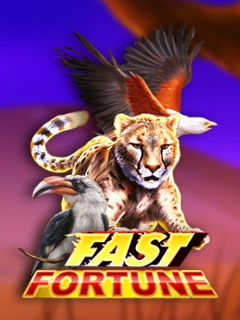 Fast Fortune