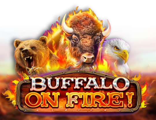 Buffalo on Fire!
