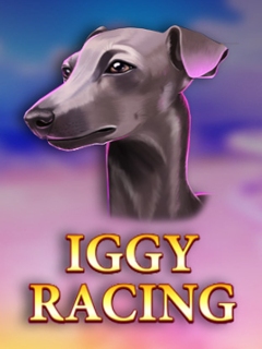 Iggy Racing