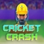 Cricket Crash