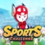 Sports Challenge