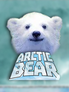 Arctic Bear