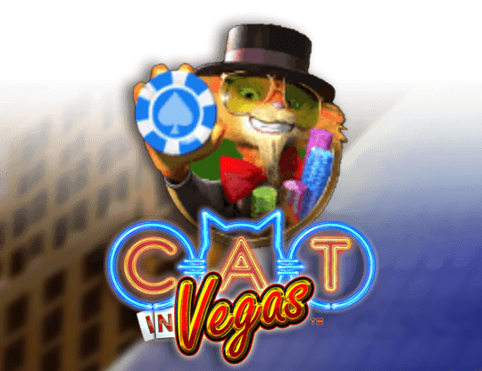 Cat in Vegas