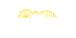 Rollino Casino