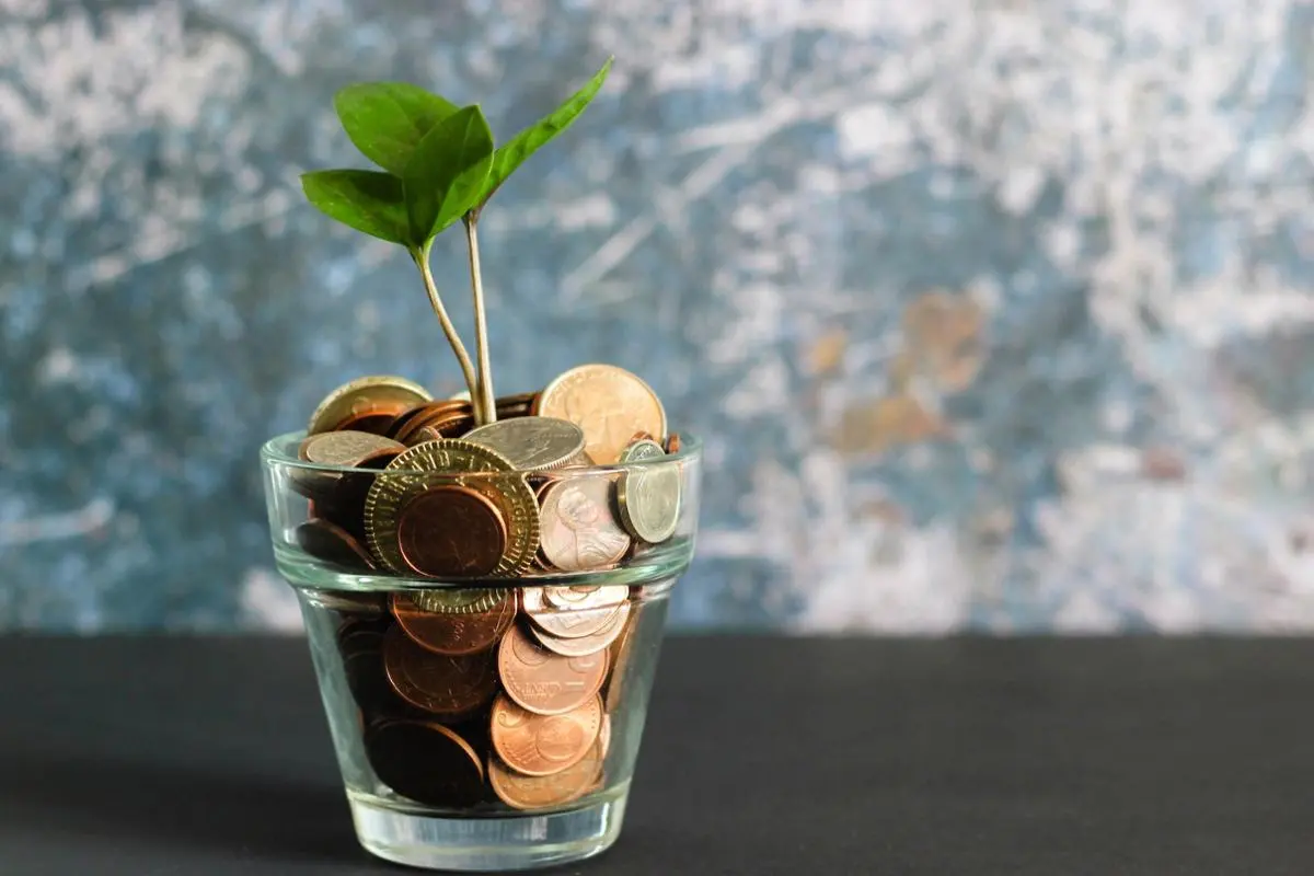 A pot with coins in it.