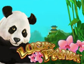 Lucky Panda