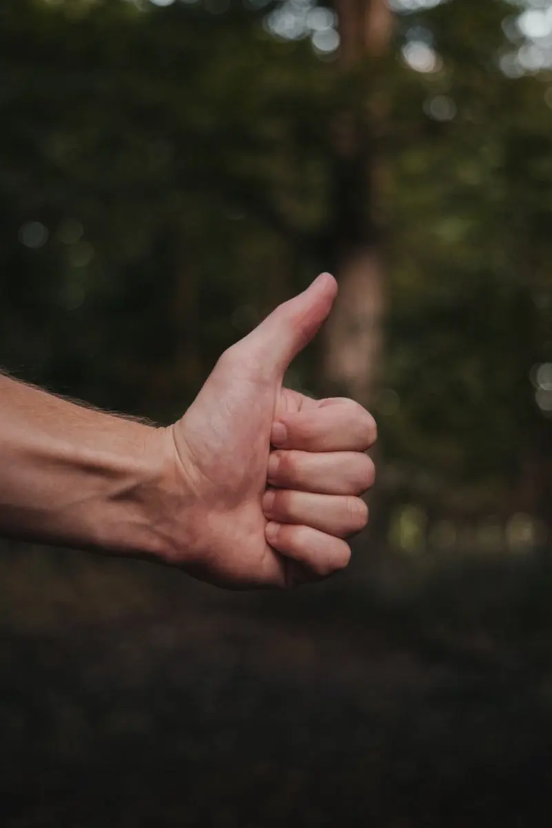 a-person-holding-a-thumb-up