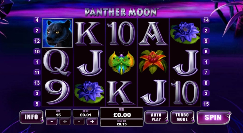 Panther Panther