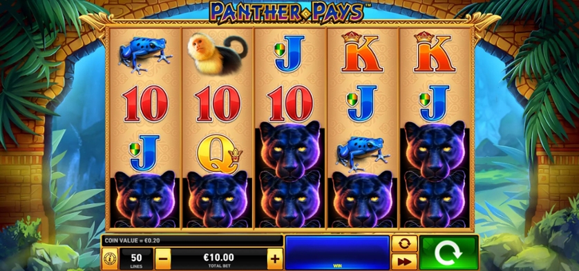 Panther Pays.jpg