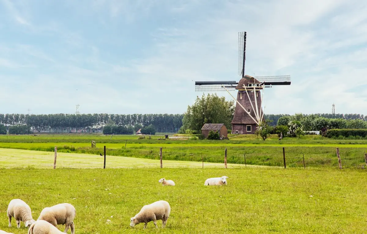 Netherlands windmill.