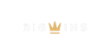 BigWins Casino