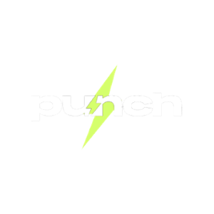 Punchbet Casino Logo