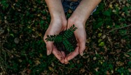 Caesars Entertainment and Social Sustainability