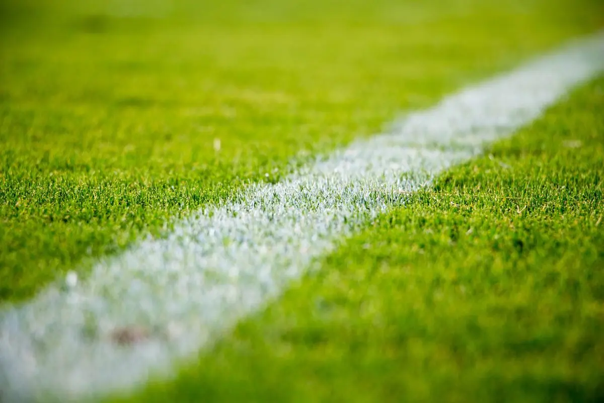 white-line-soccer-field