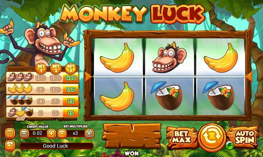 Monkey Luck.jpg