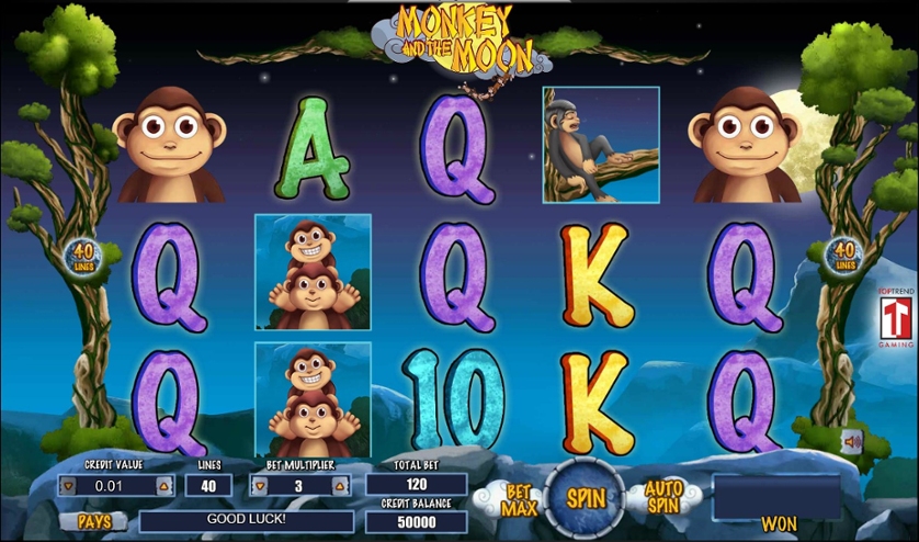 Monkey and the Moon.jpg