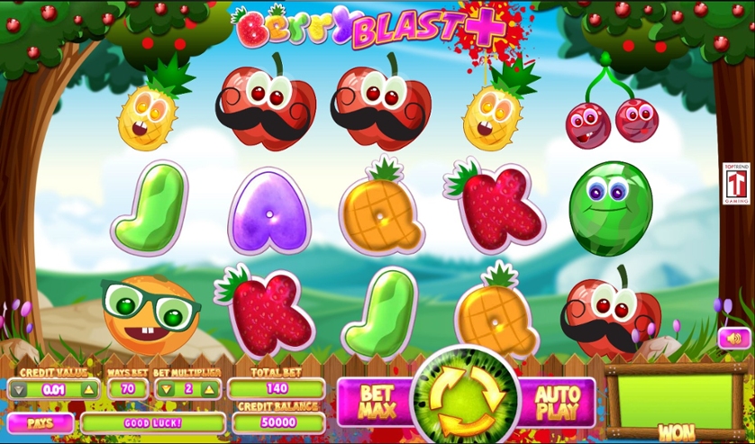 Berry Blast Plus.jpg