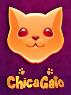 Chica Gato
