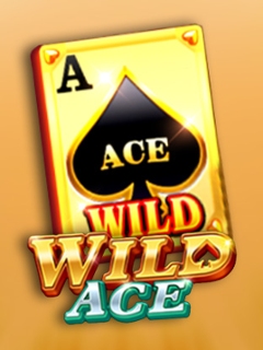 Wild Ace