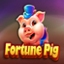 Fortune Pig