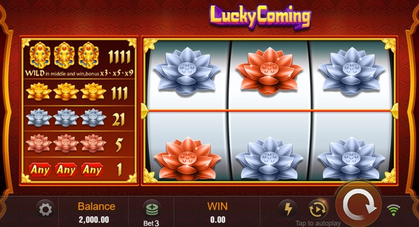 Lucky Coming.jpg