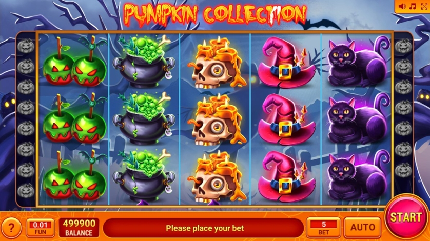 Pumpkin Collection.jpg
