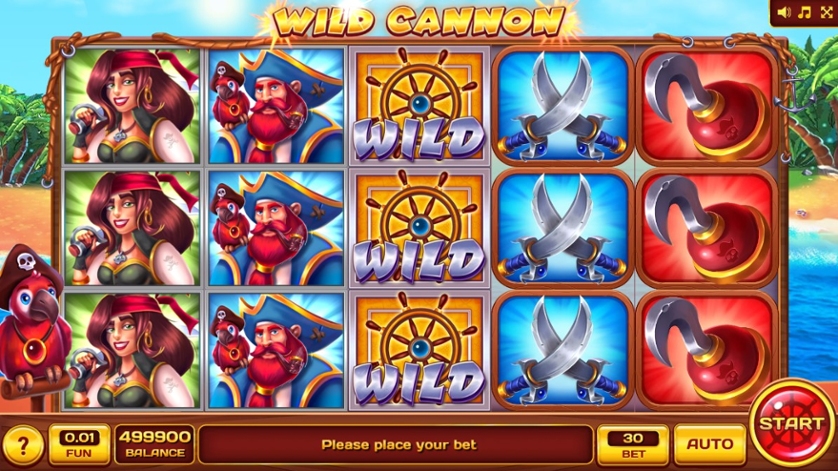 Wild Cannon Game Review