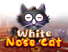 White Nose Cat