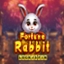 Fortune Rabbit Lock 2 Spin