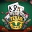 Texas Hold 'Em (Platipus)