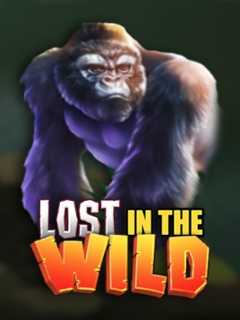 Lost In The Wild
